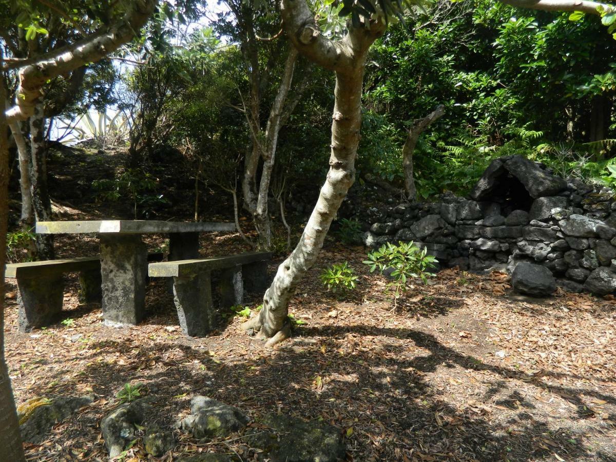 Adega Ninho Da Cagarra Villa Calheta de Nesquim Exterior photo